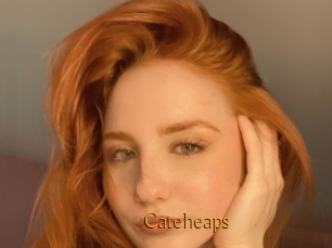 Cateheaps