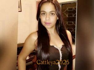 Cattleya2025