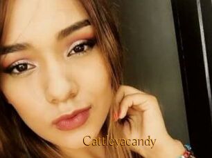 Cattleyacandy