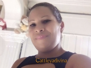Cattleyadivina