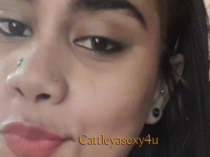 Cattleyasexy4u