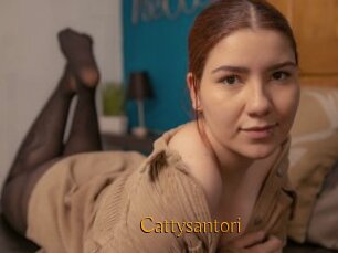 Cattysantori