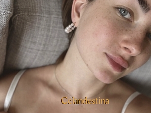 Cclandestina