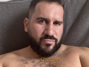 Chacales