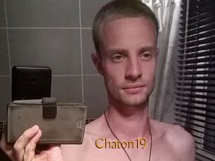 Chaton19