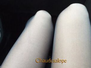 Chaudesalope