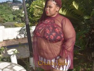 Chubby_bule