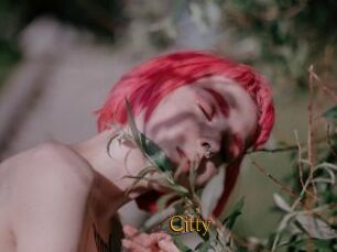 Citty