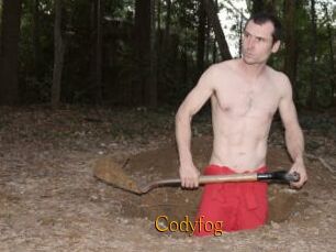 Codyfog