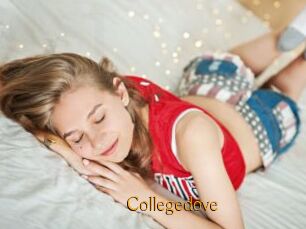 Collegedove
