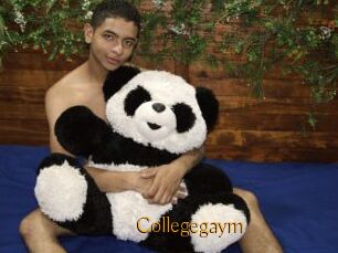 Collegegaym