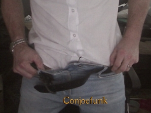 Conjoefunk