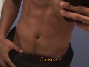Cubscave