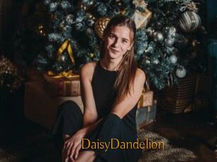 DaisyDandelion