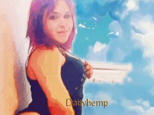Daisy_hemp