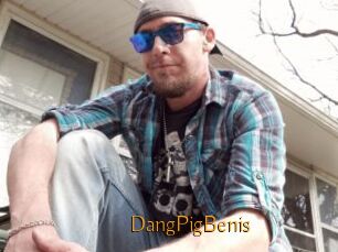 DangPigBenis