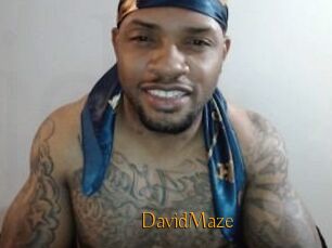 David_Maze