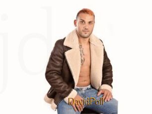 DavidPoll