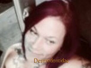 Desmodontidae