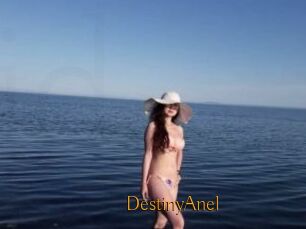 DestinyAnel