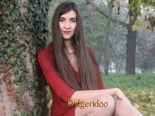 Didgeridoo