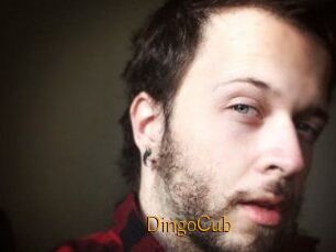 DingoCub