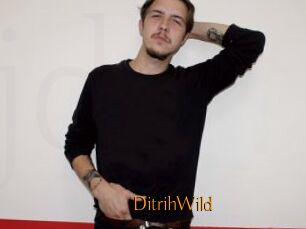DitrihWild