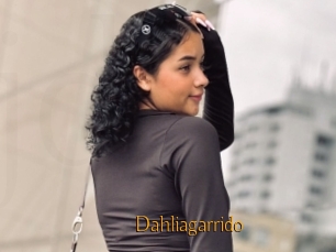 Dahliagarrido