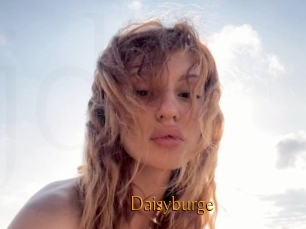 Daisyburge