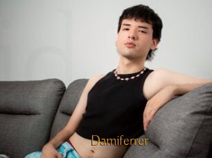 Damiferrer