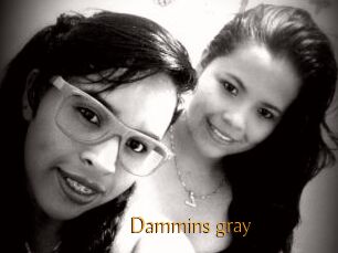 Dammins_gray