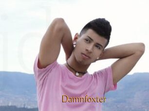 Damnfoxter