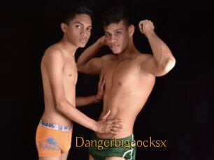 Dangerbigcocksx