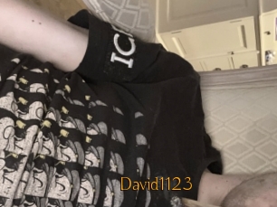 David1123