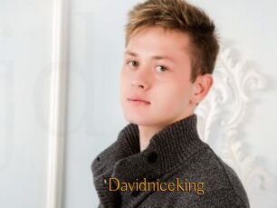 Davidniceking