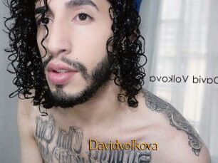 Davidvolkova
