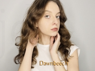 Dawnbeech