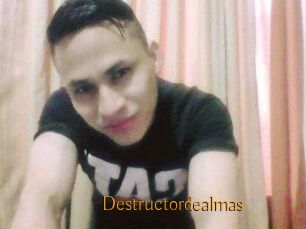 Destructordealmas
