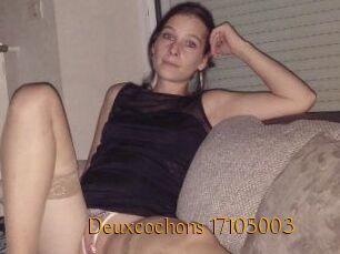 Deuxcochons