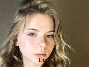 Dianesmit