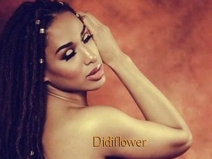Didiflower