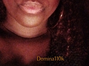 Domina110k