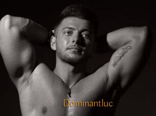 Dominantluc