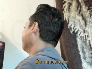 Dominicsteele