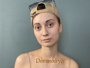 Dominodryer
