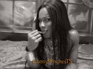 Ebony9InchesTS