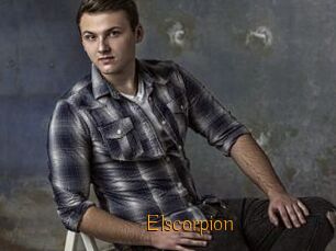 Elscorpion