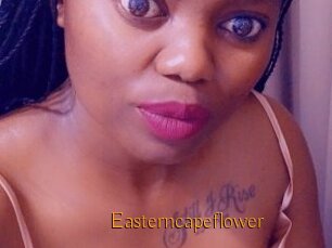 Easterncapeflower