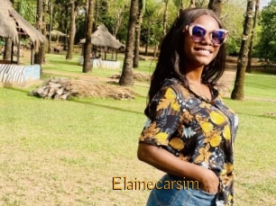 Elainecarsim