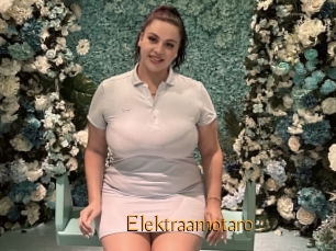 Elektraamotaro
